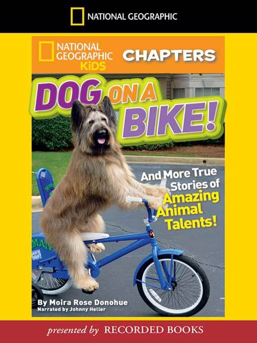 Title details for Dog on a Bike by Moira Rose Donohue - Wait list